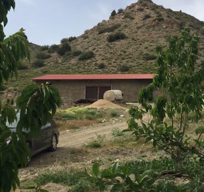دامداری صنعتی برادر قاسم ملک