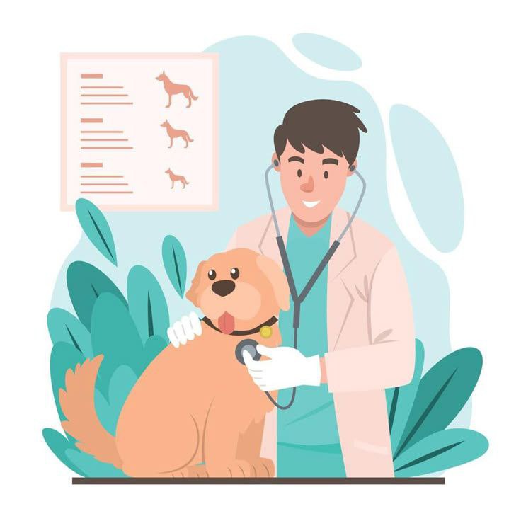 دامپزشکی و پت‌شاپ دکتردانیال درویش‌نیا