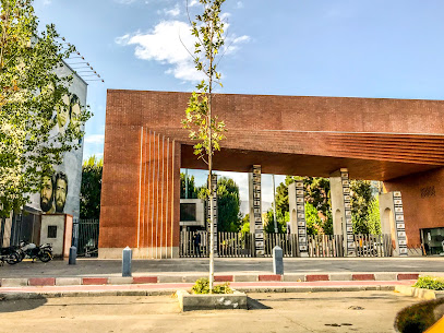 دانشگاه صنعتی شریف