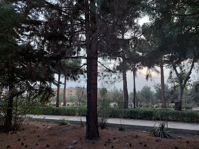 دانشگاه هنر