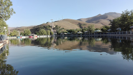 درب پنجره سازی صداقت