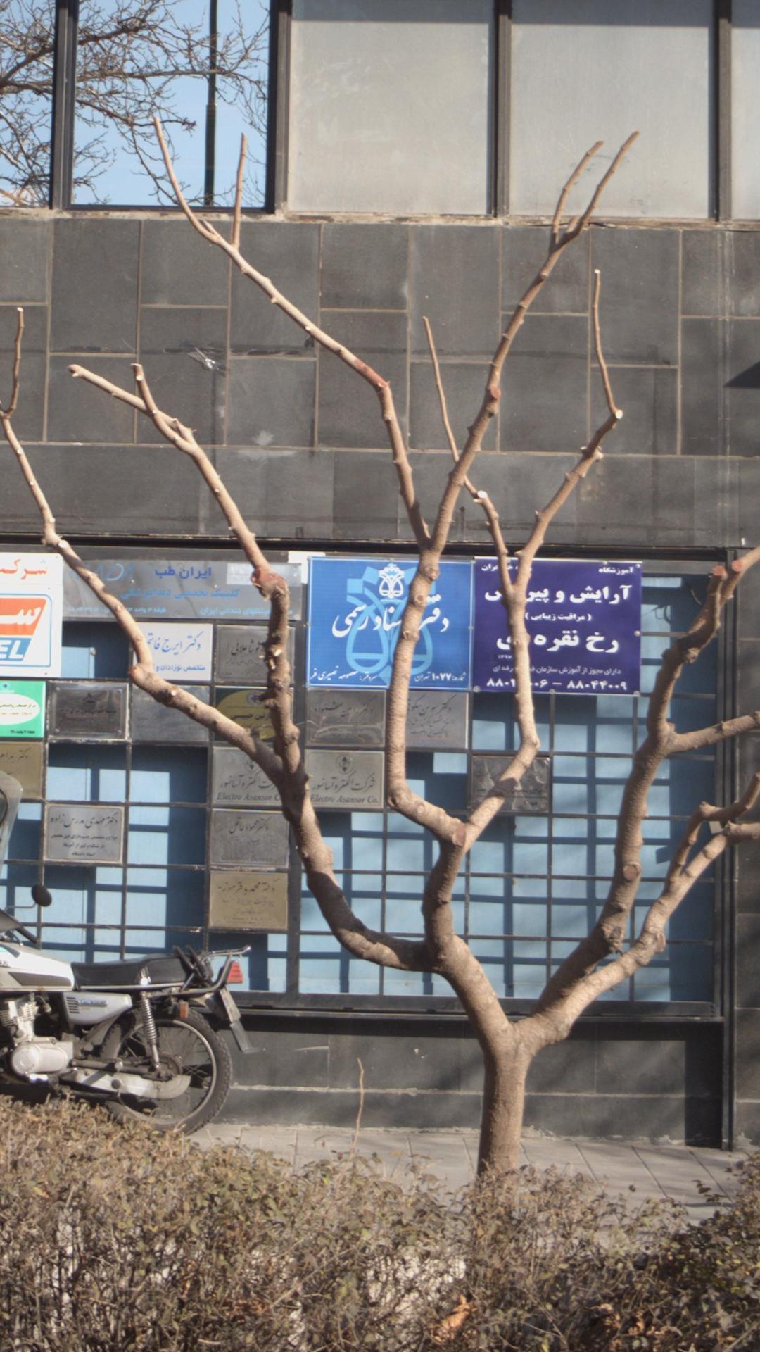 دفتر اسناد رسمی