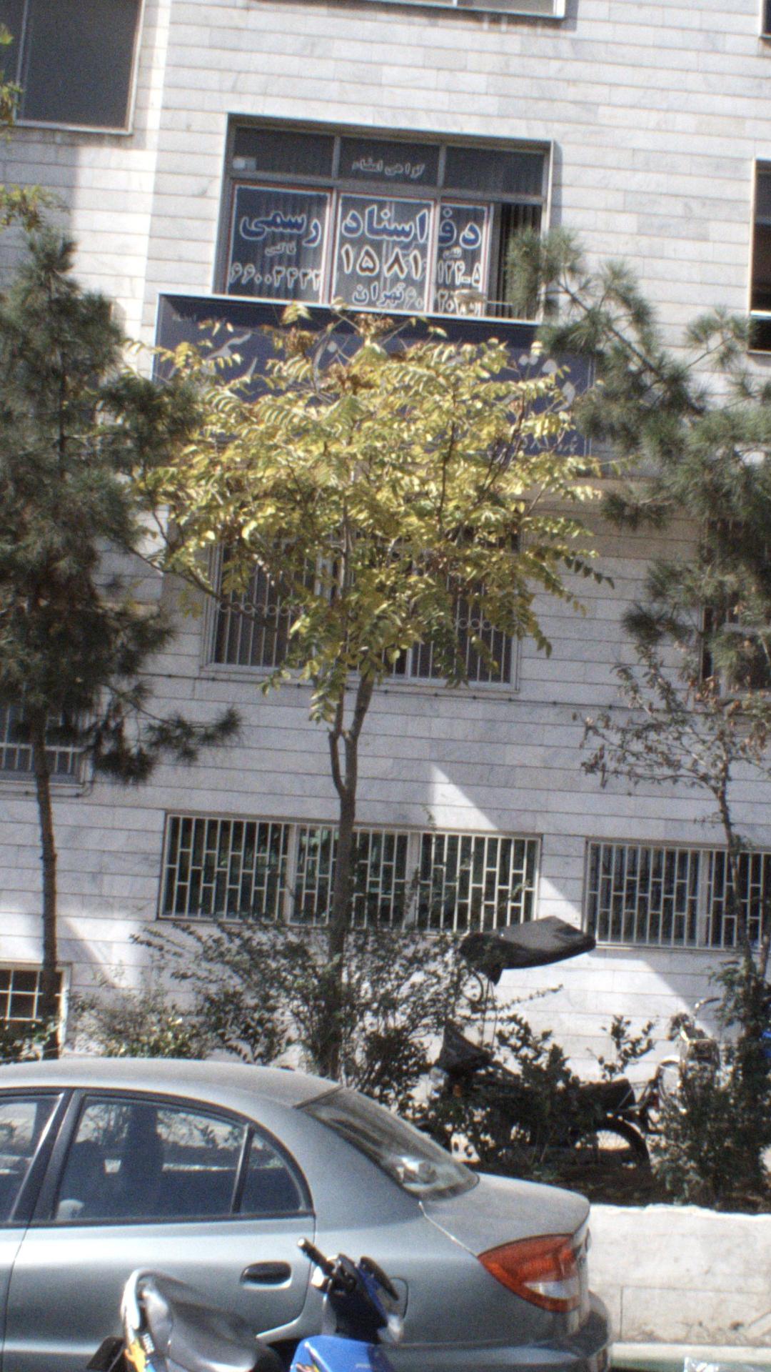 دفتر اسناد رسمی شماره 389