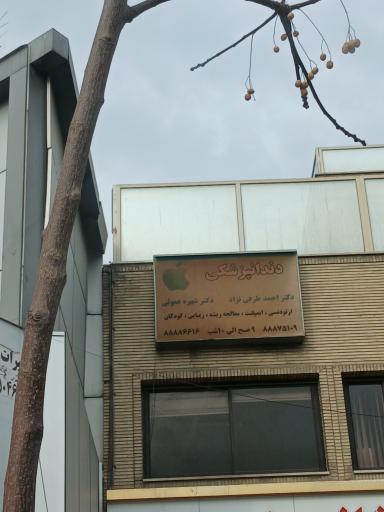 دندانپزشکی دکتر احمد طرفی نژاد دکتر شهره عموئی