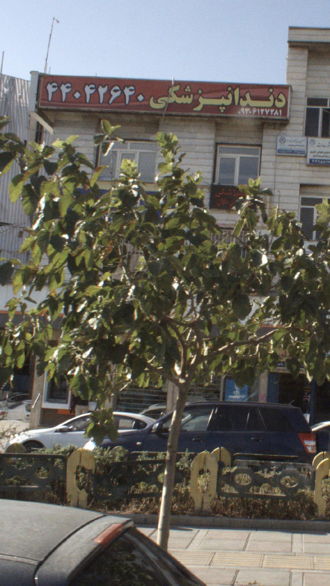 دندانپزشکی دکتر ستاری