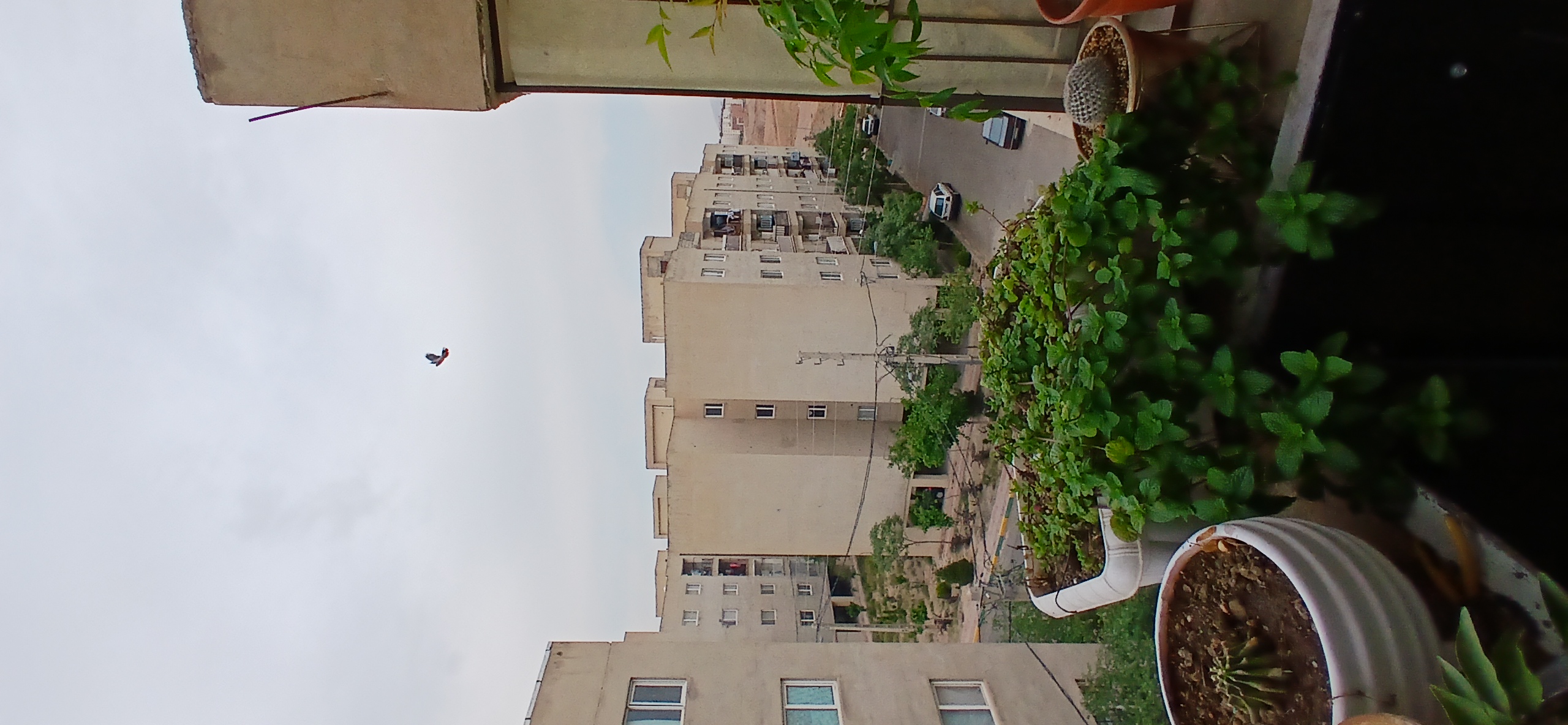 دپارتمان املاک میرملک