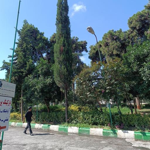 دکتر داریوش روحانی(بیمارستان شهید یحیی نژاد)