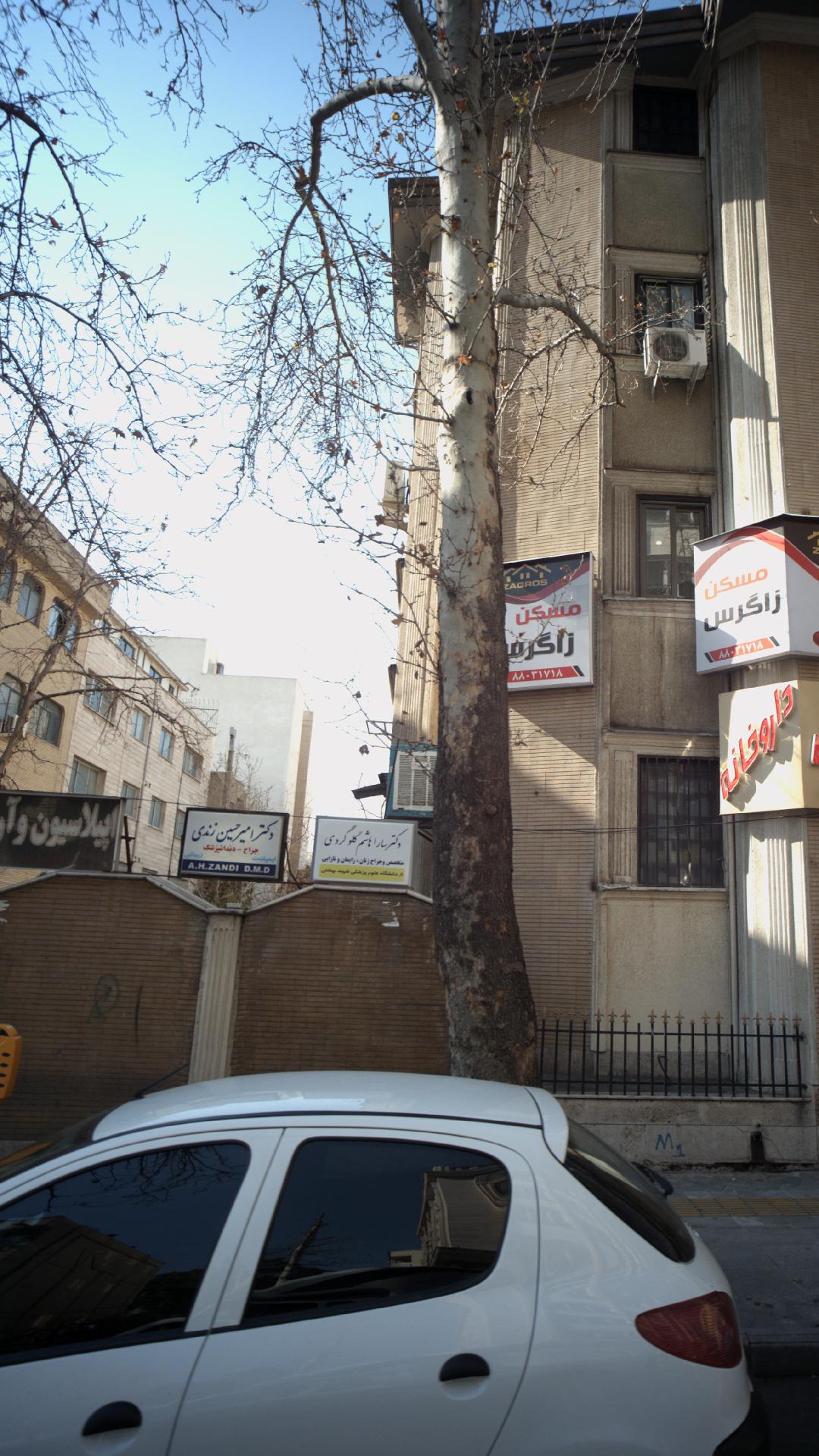 دکتر سارا هاشم گلوگردی