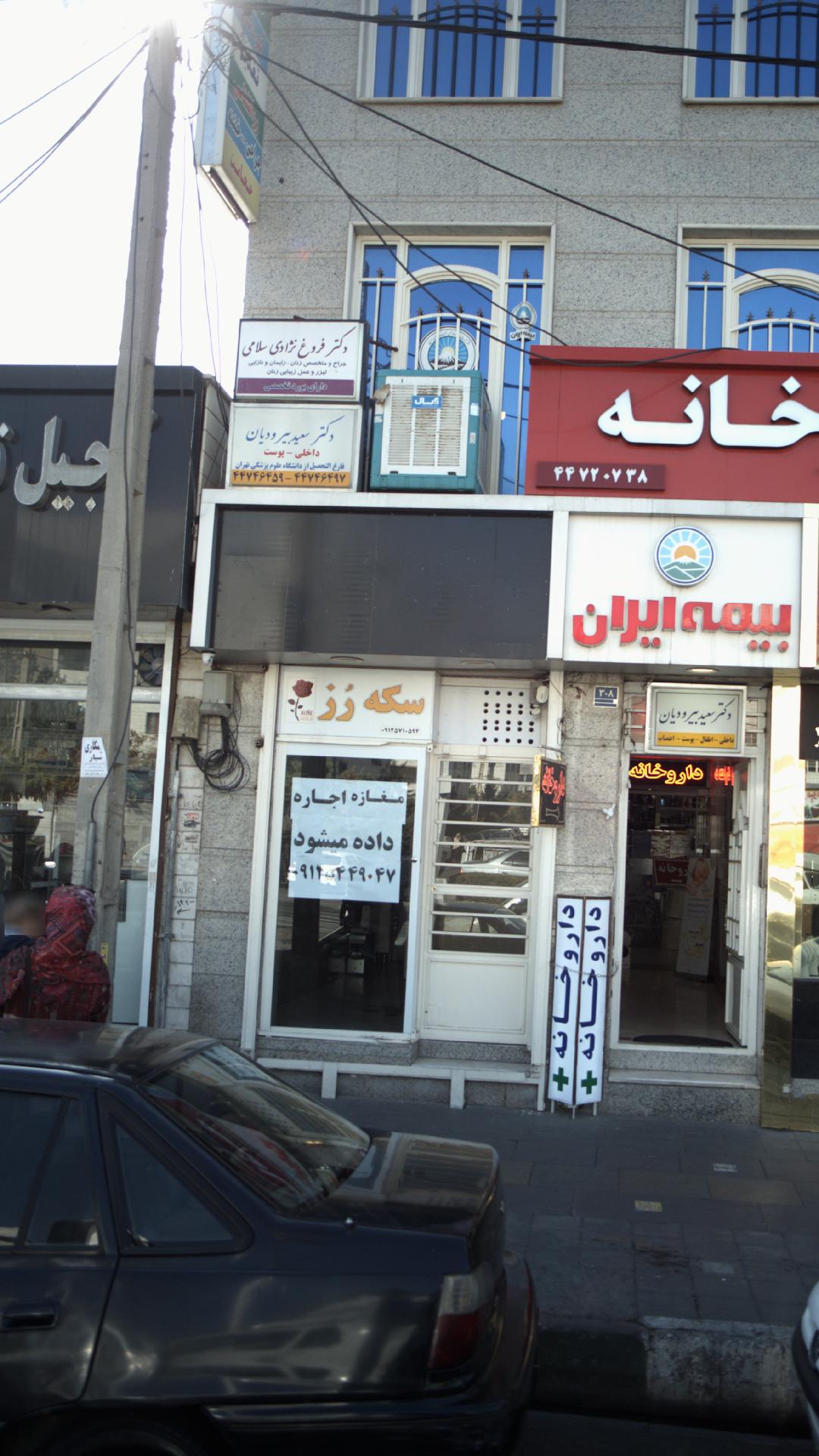 دکتر سعید بیرودیان