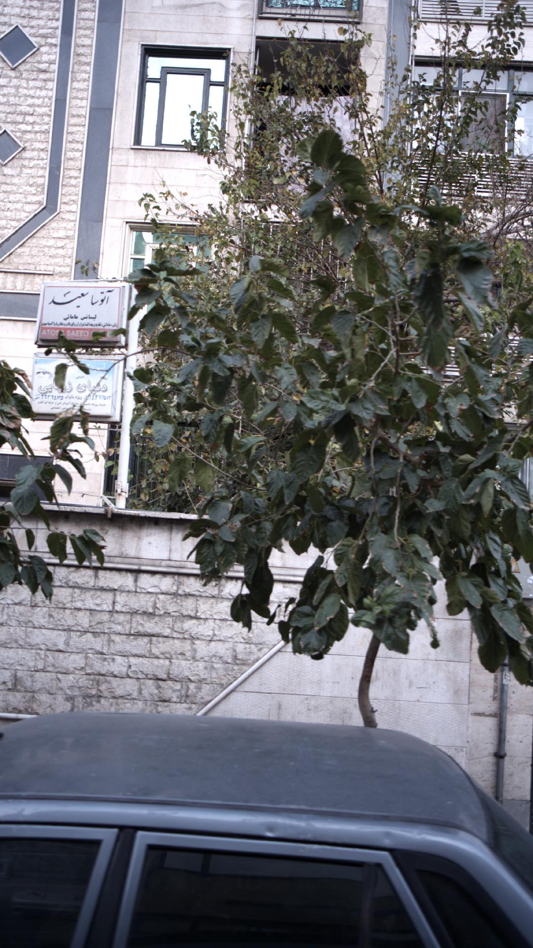 دکتر سیّد رضا معتمدی