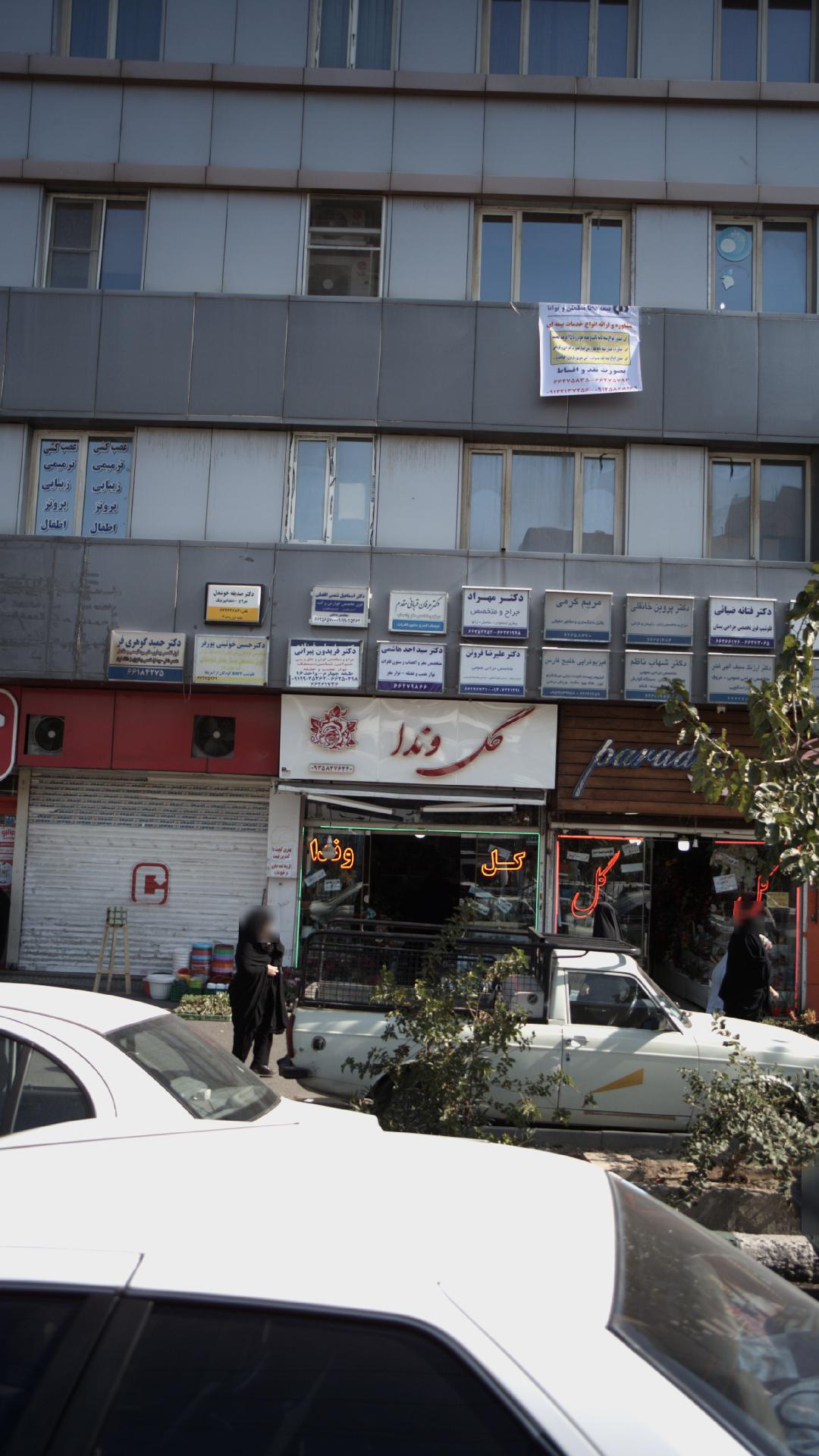 دکتر سید احد هاشمی