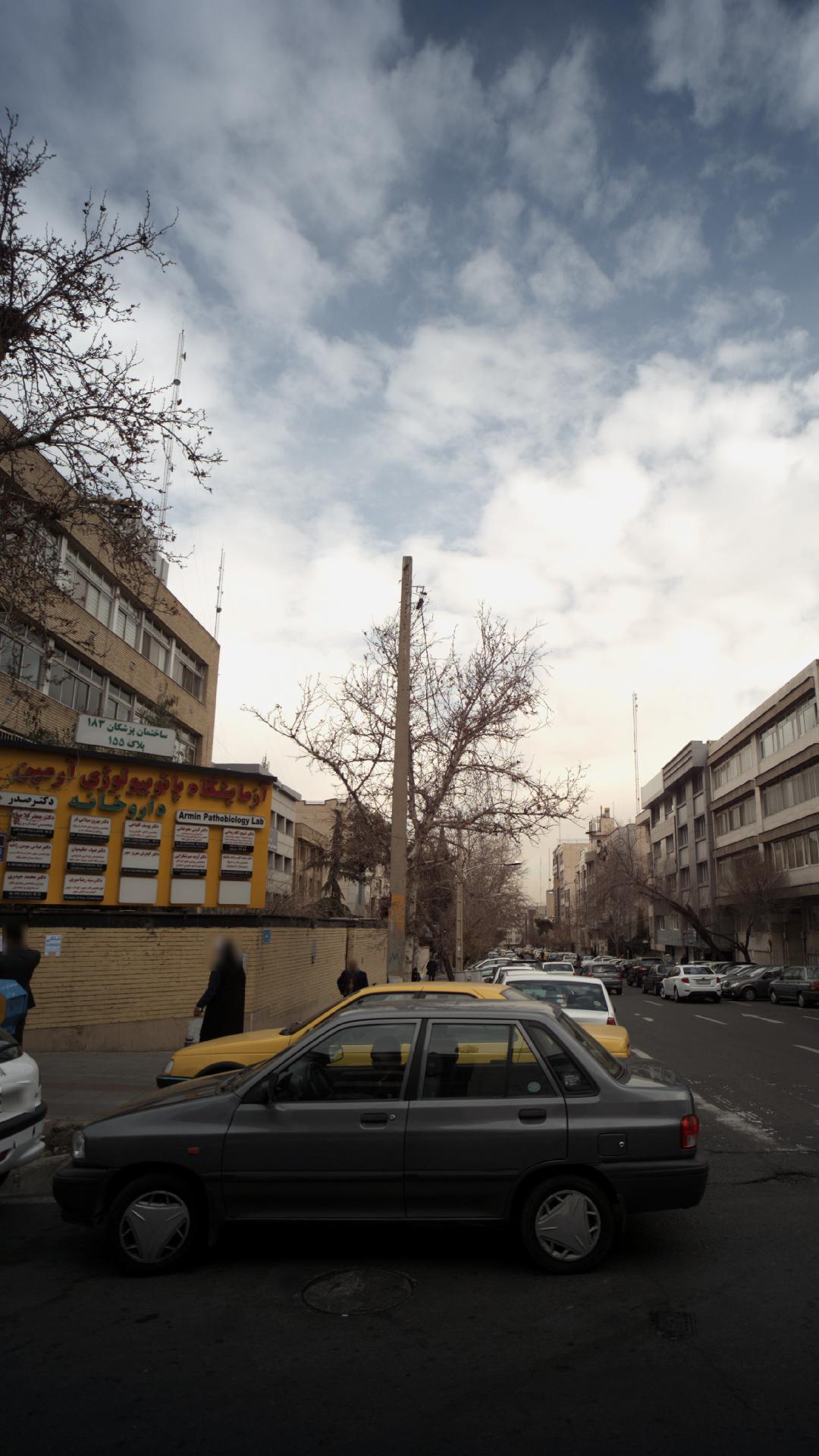 دکتر سید رضا میری