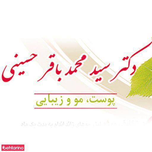 دکتر سید محمد باقر حسینی