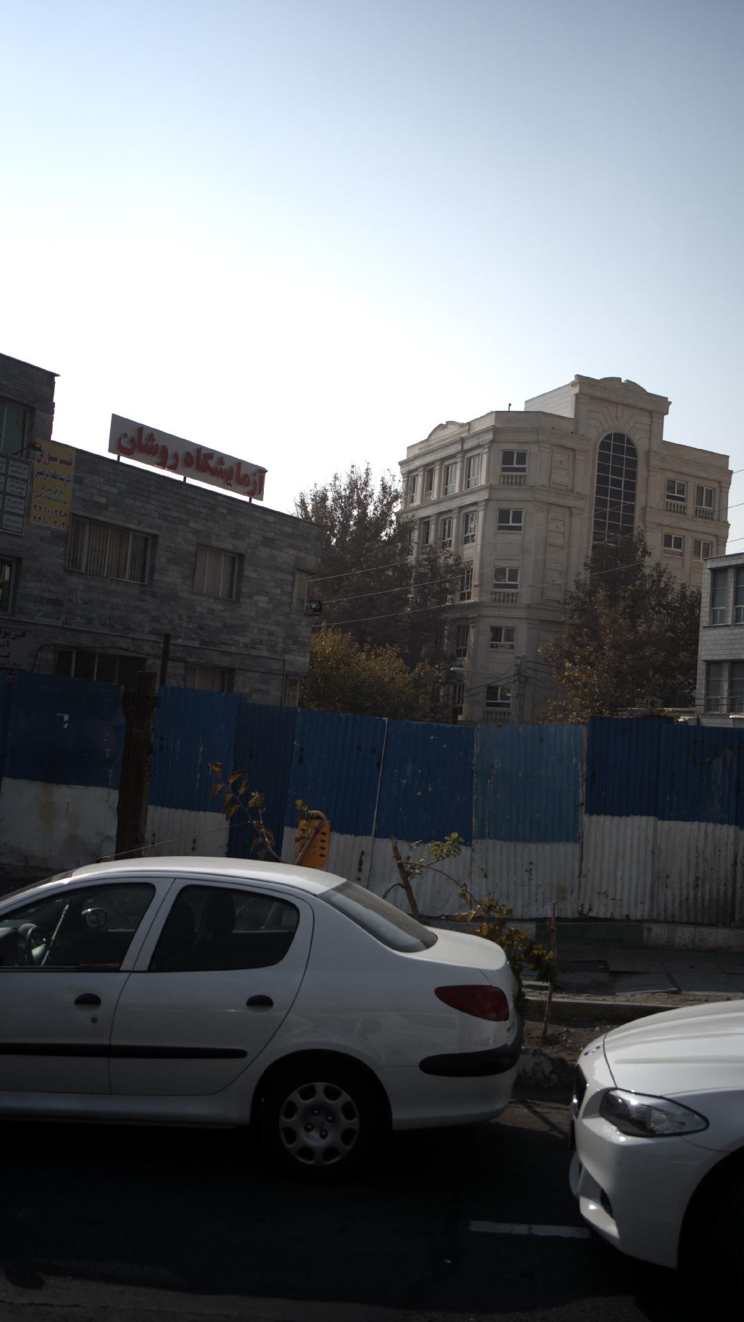 دکتر سیده طاهره میر حسینی