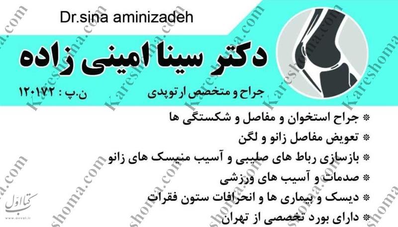 دکتر سینا امینی زاده