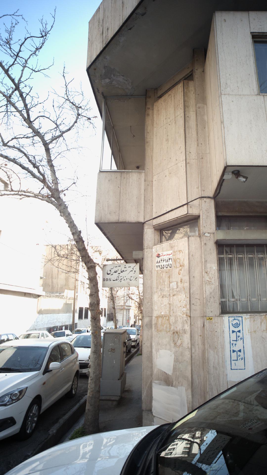 دکتر شعله تقدیسی