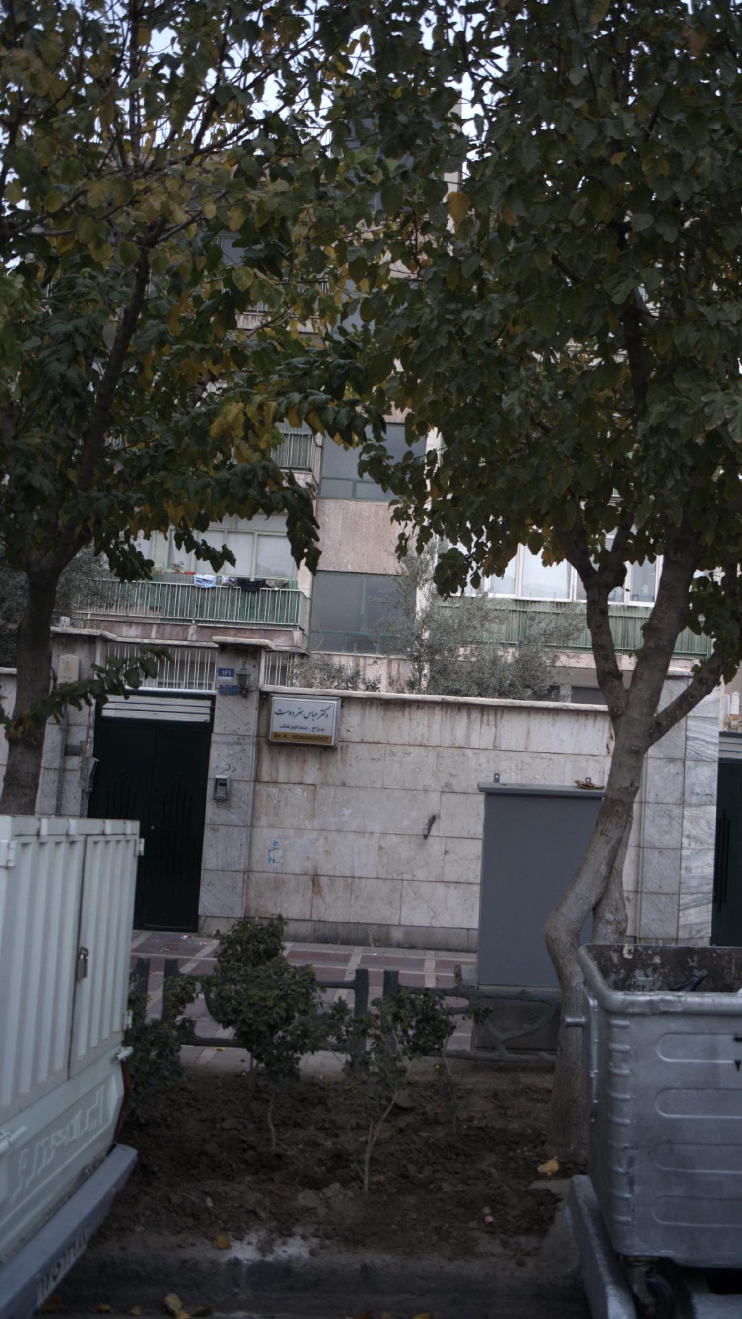 دکتر عباس هنر دوست