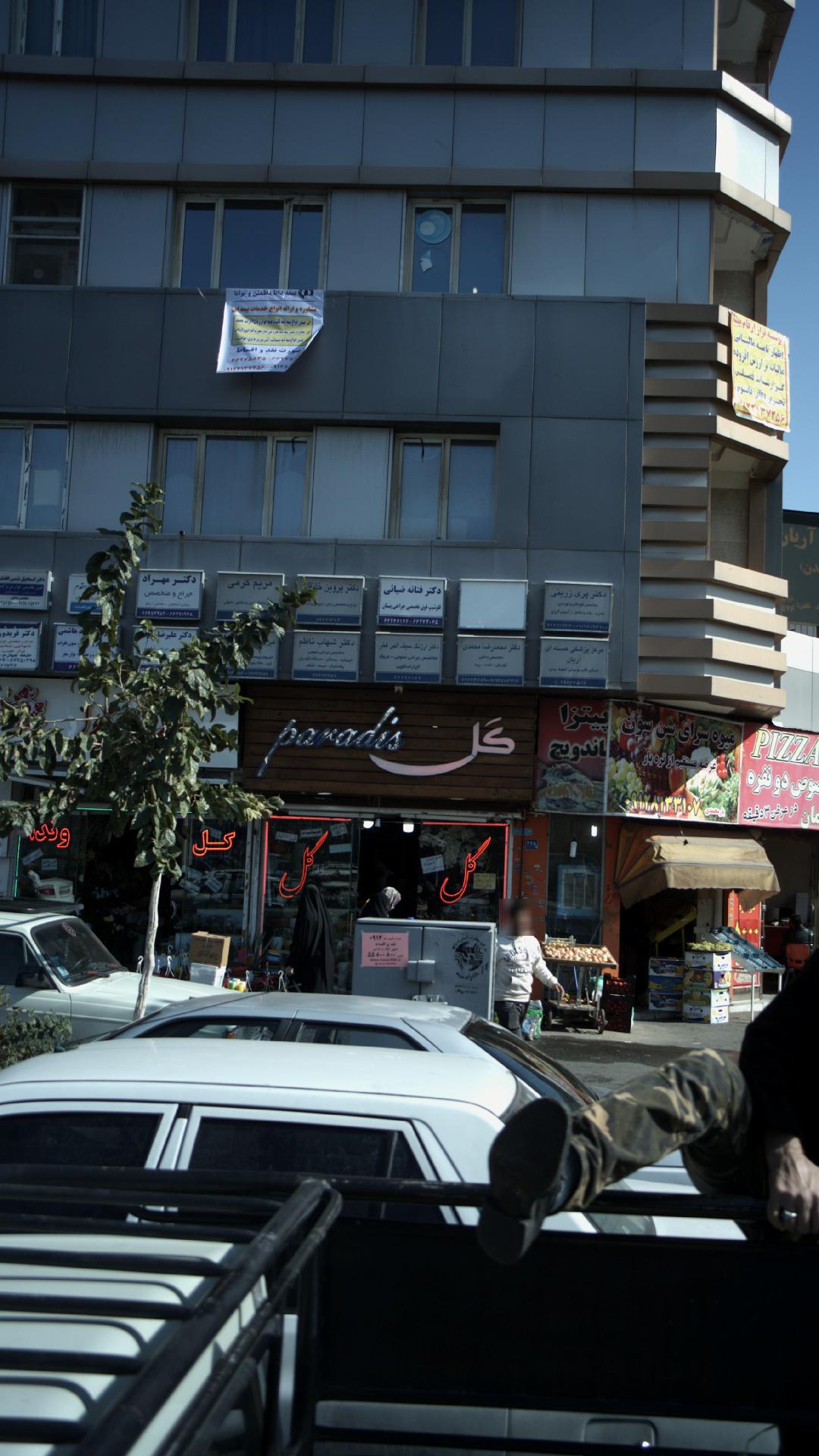 دکتر فتانه ضیائی