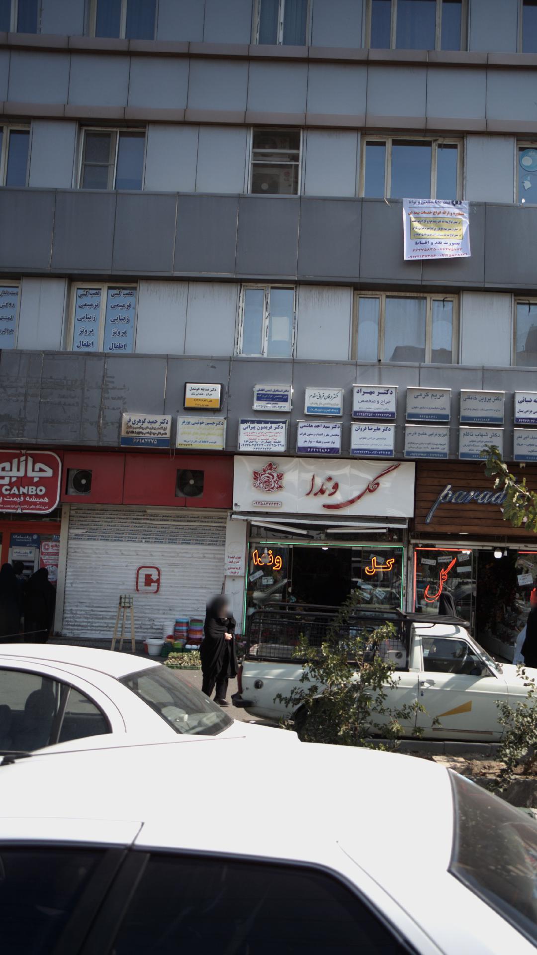 دکتر فریدون پیرانی