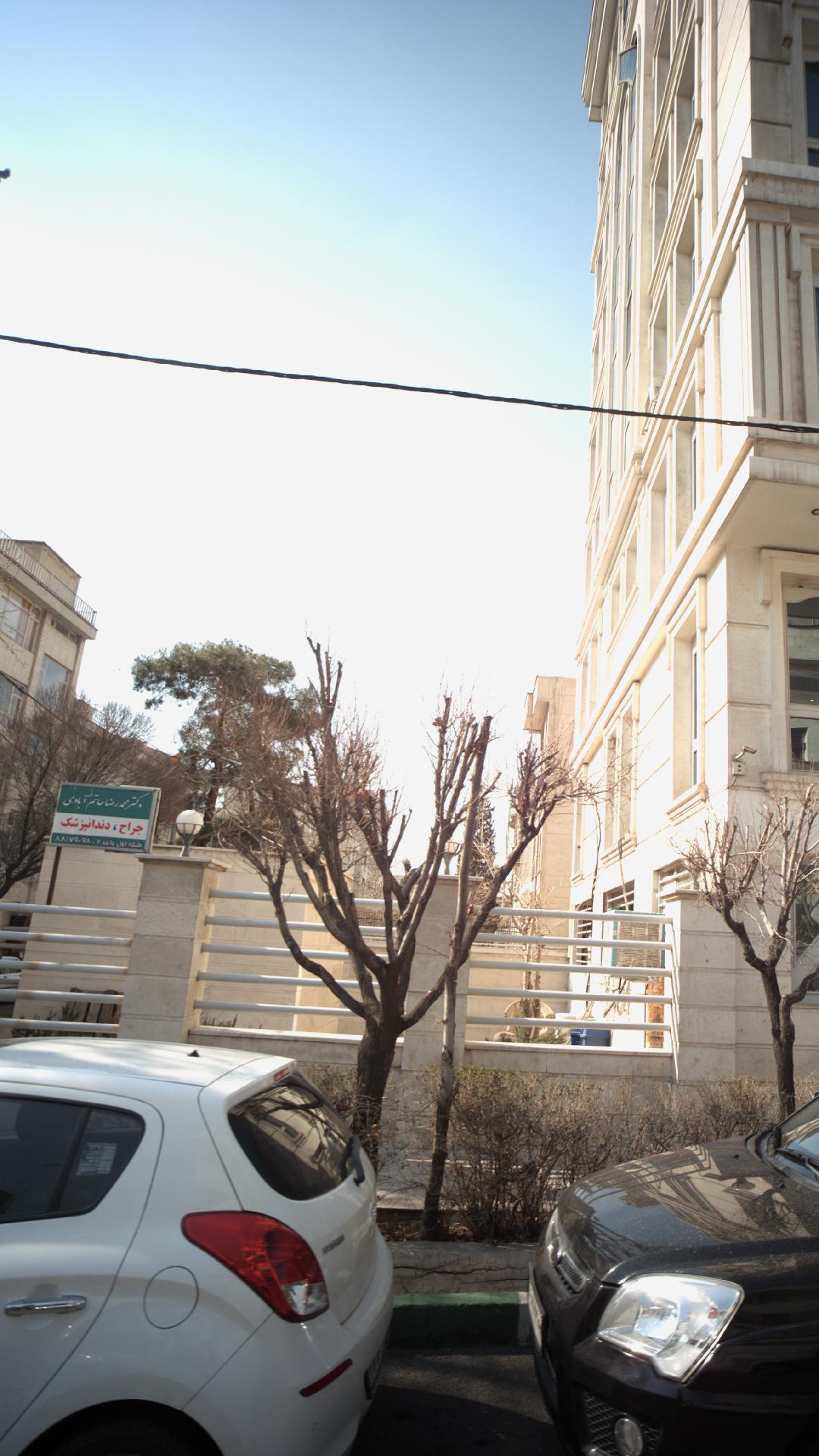 دکتر محمد رضا حاتم آبادی