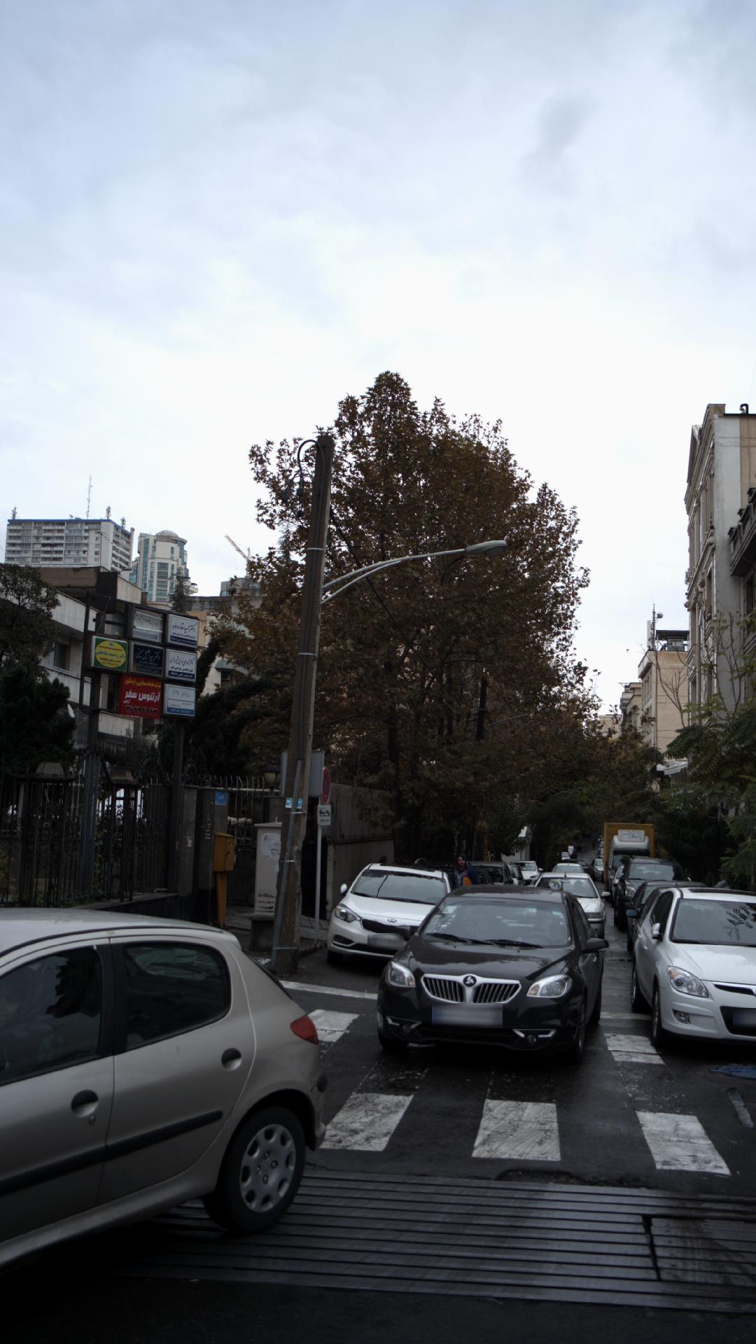 دکتر محمدعلی نوابی شیرازی