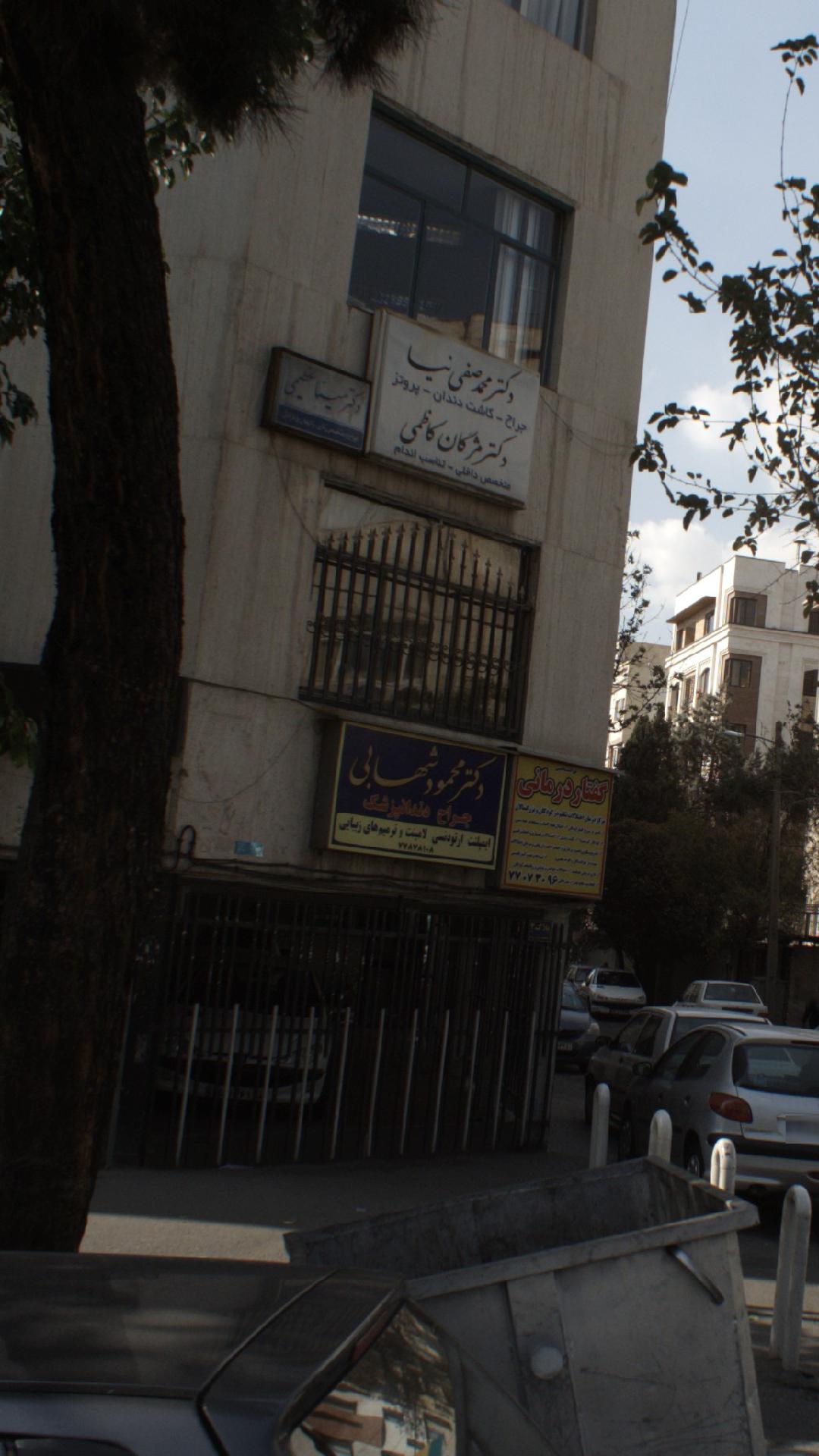 دکتر محمود شهابی