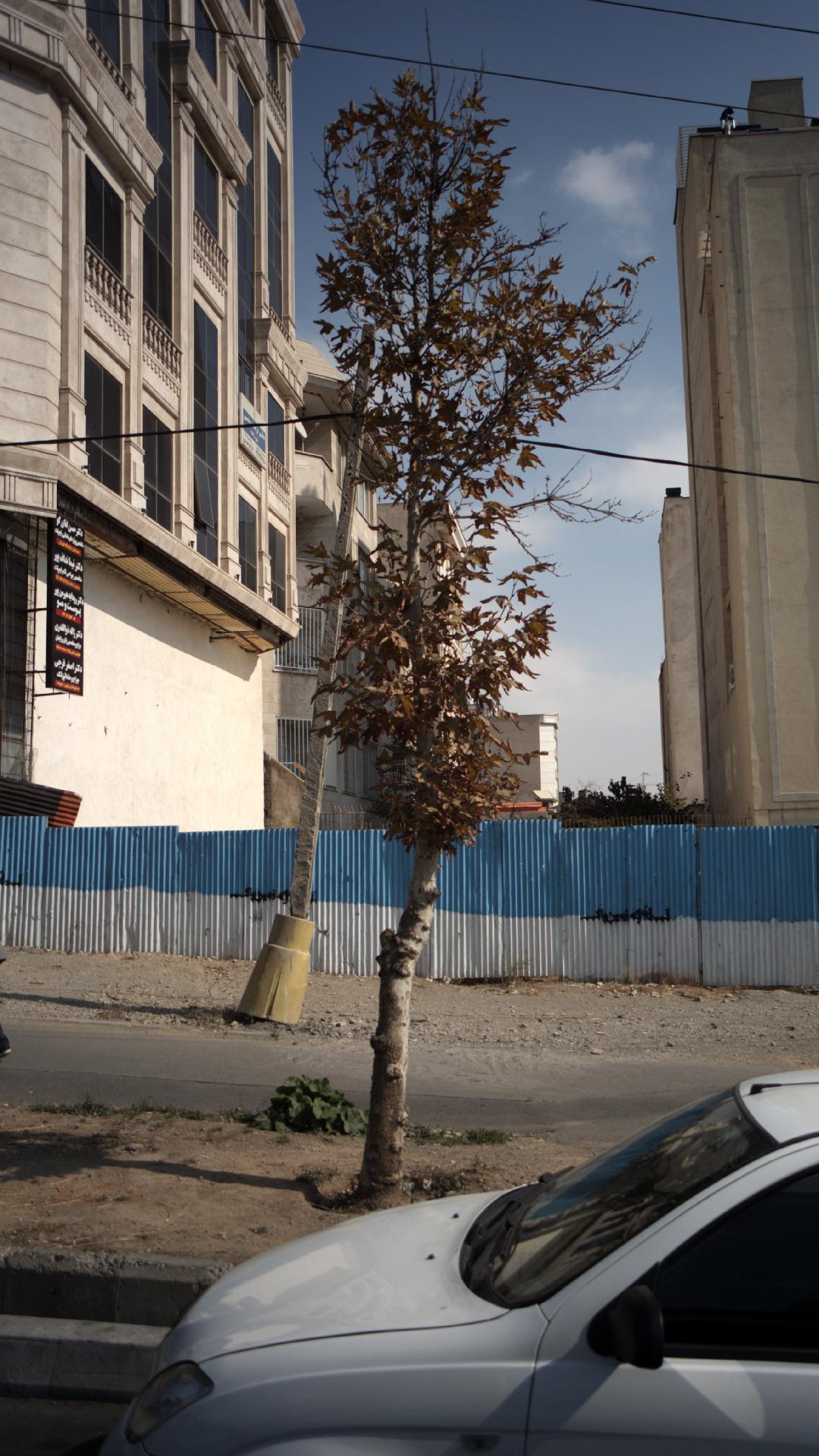 دکتر مظلومی