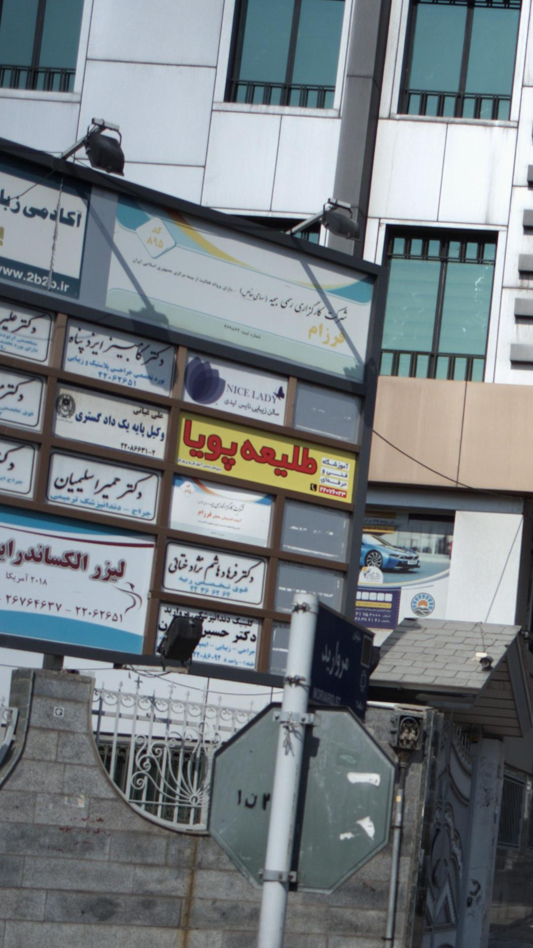دکتر مهدی آریانا