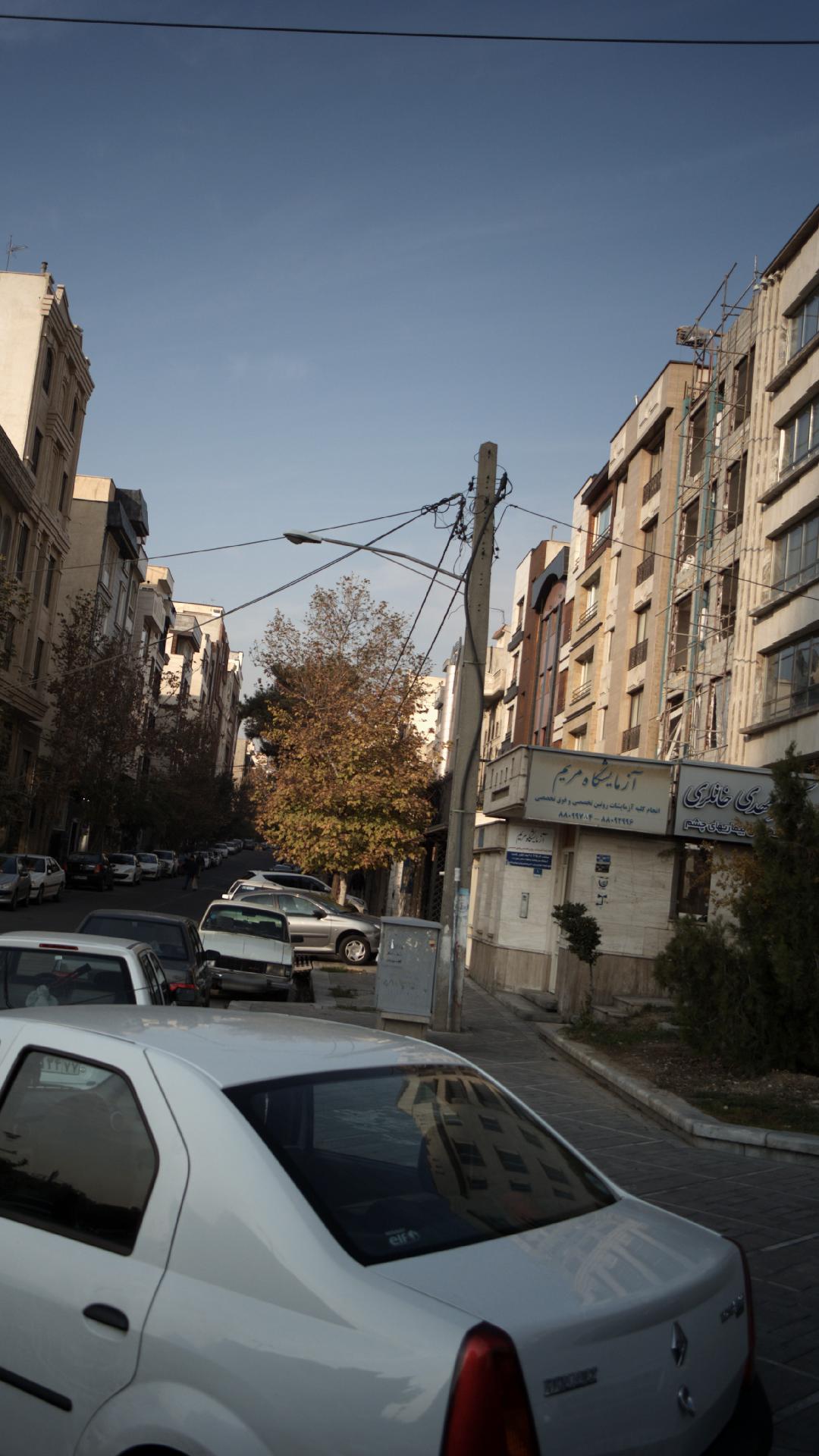 دکتر مهدی خانلری