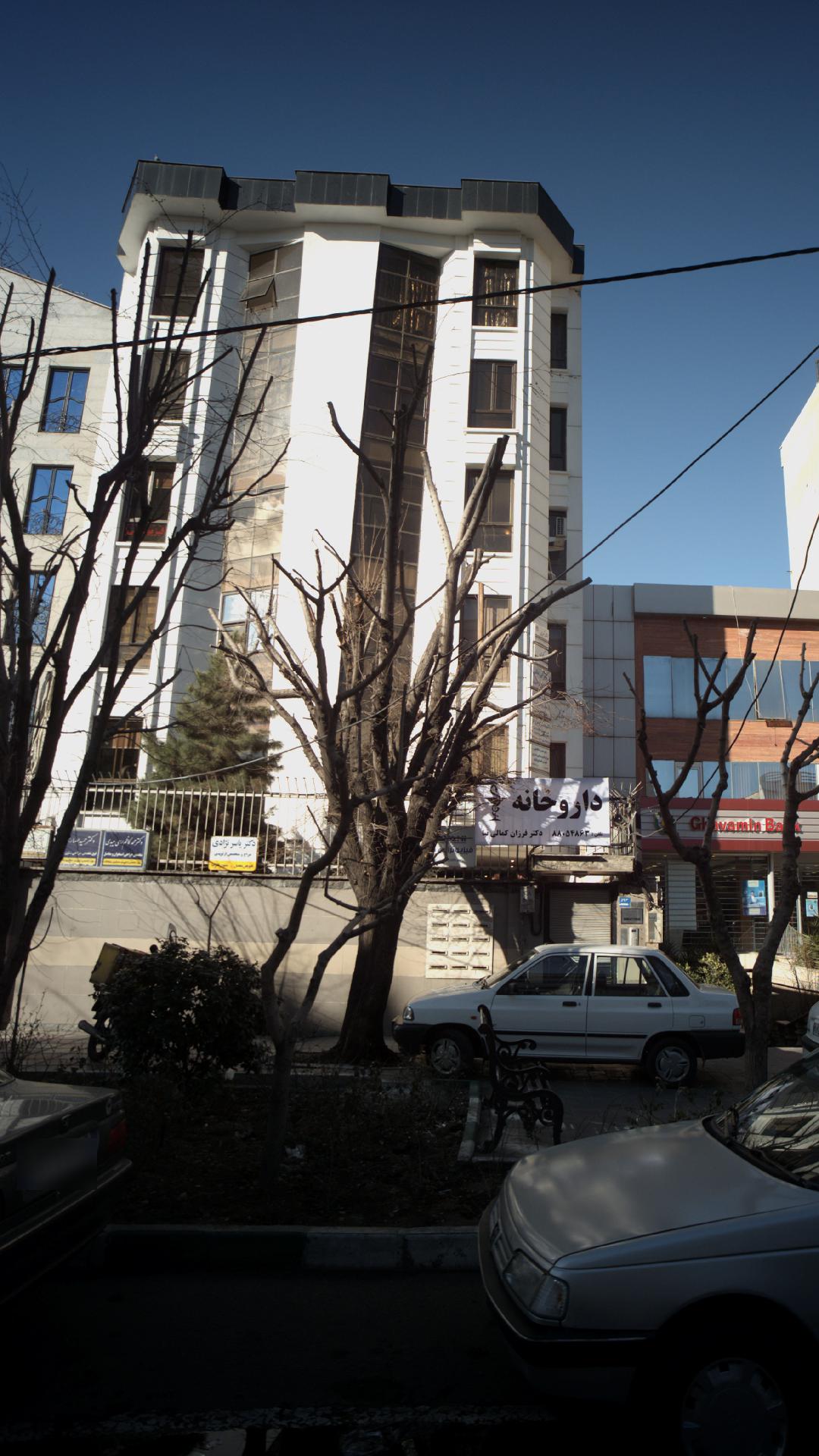 دکتر مهدی مرشدی