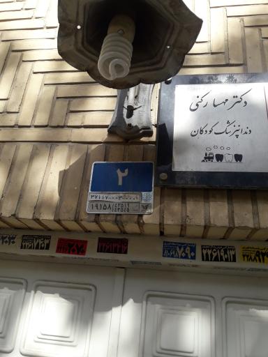 دکتر مهسا رکنی