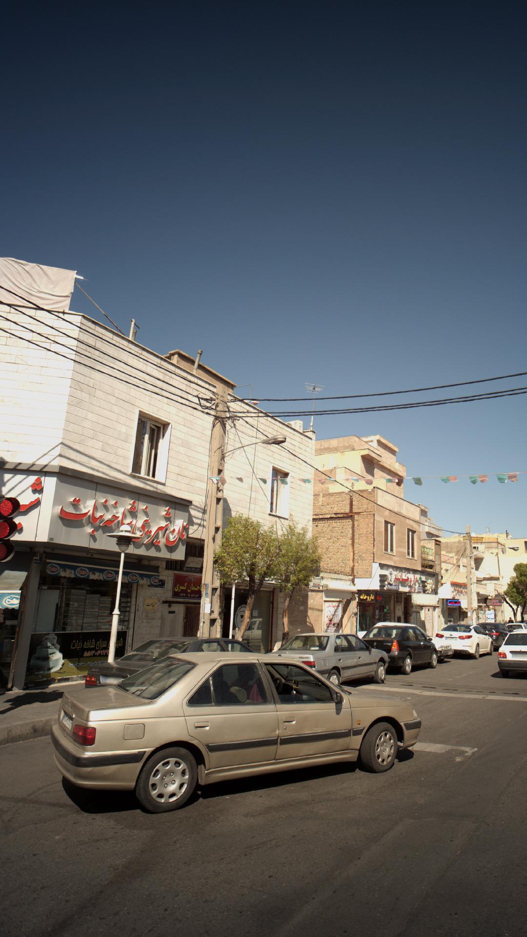 دکتر نادر اخوان