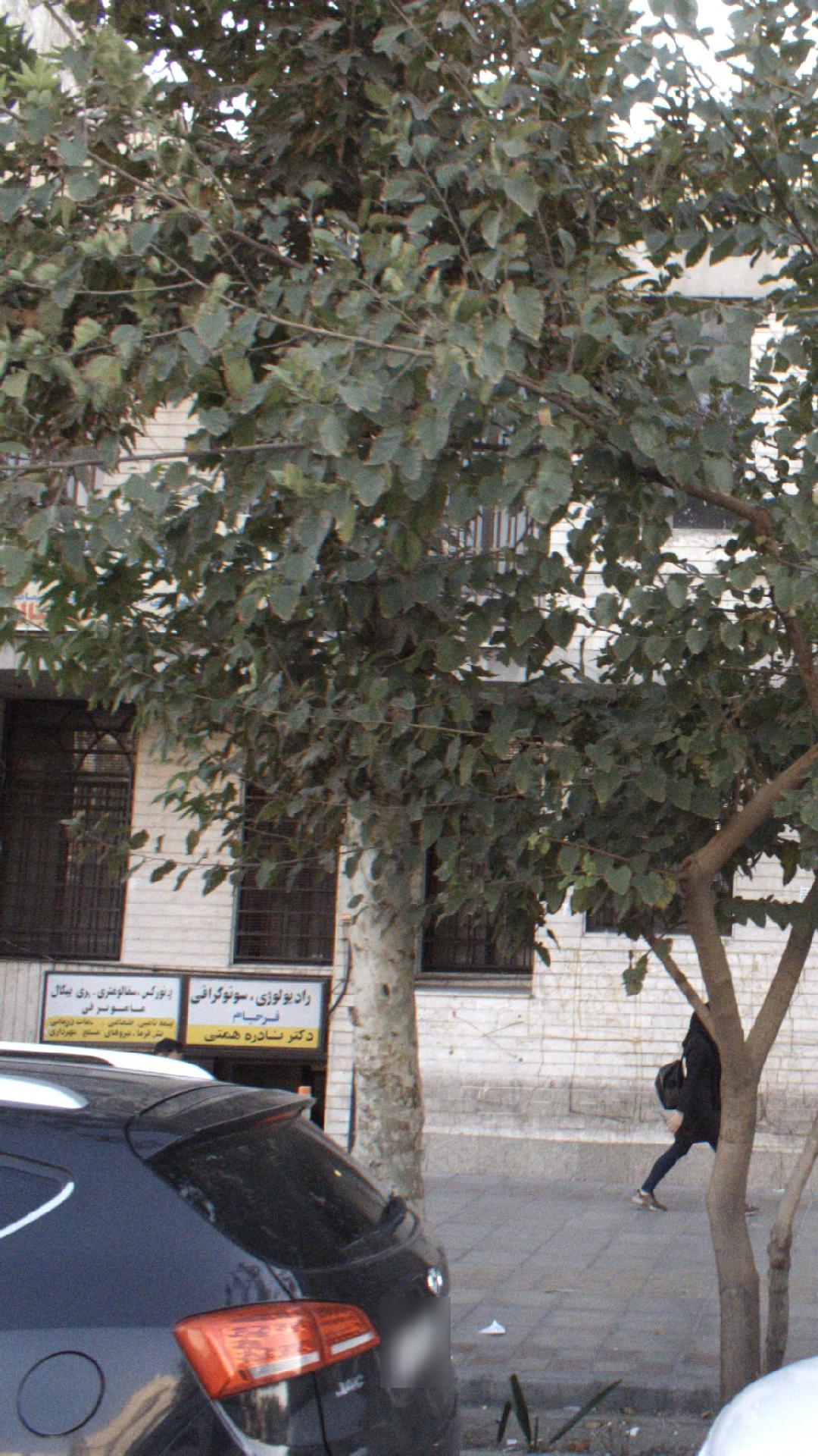 دکتر نادره همتی