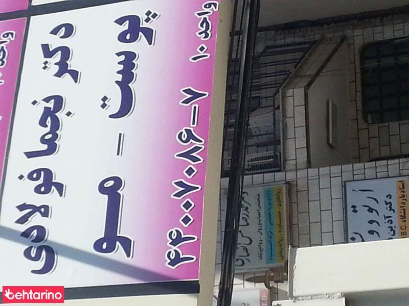 دکتر نجما فولادی