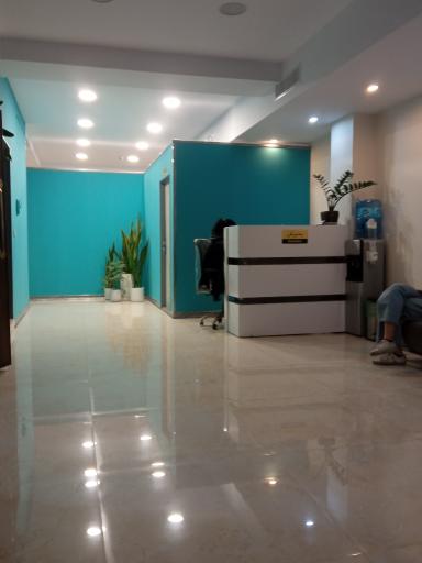 دکتر نفیسه مردانی
