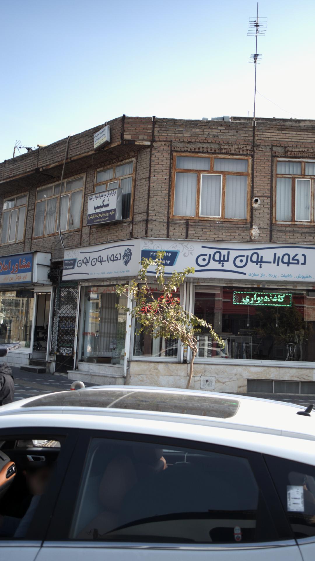دکوراسیون لیون