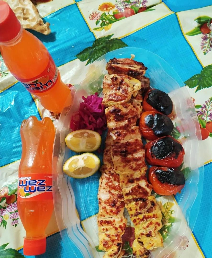 دیزی سرای آریانیان