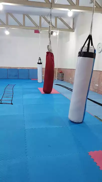 رزم دانش
