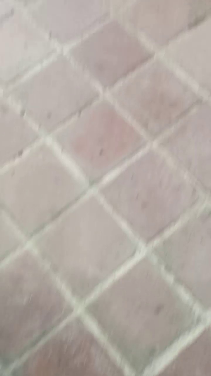 رستوران باریشا