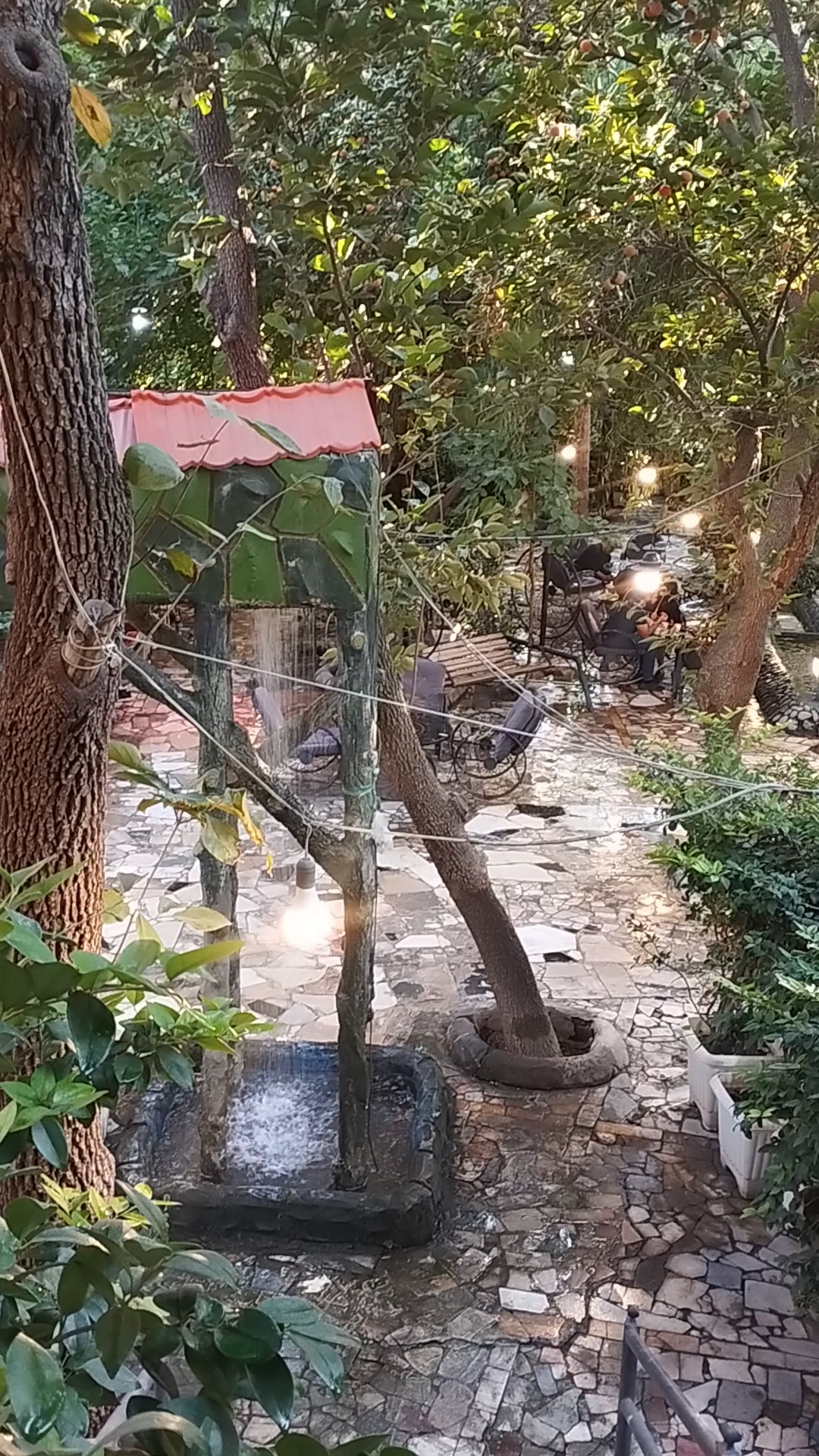 رستوران