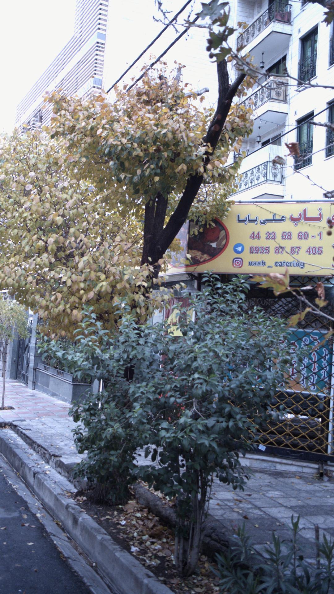 رستوران سفیر