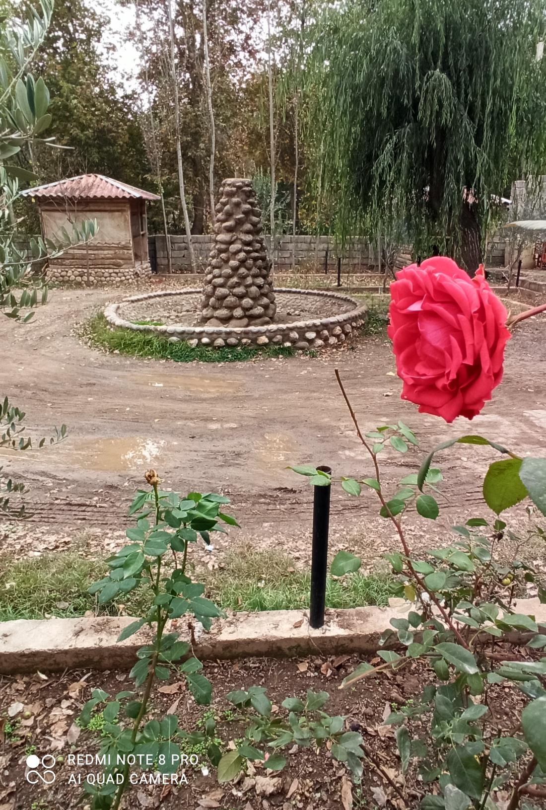 رستوران سنتی کوچه باغ