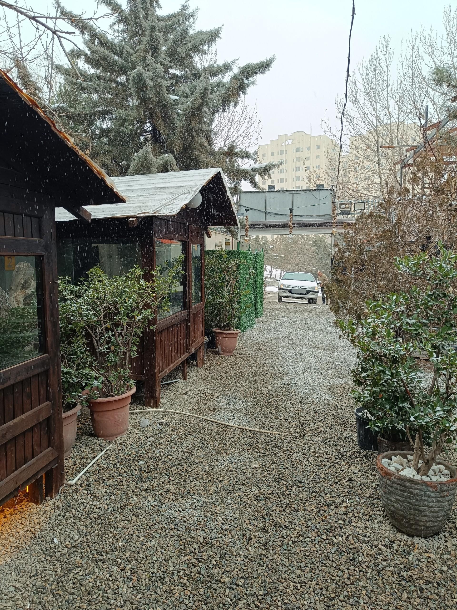رستوران شوگار