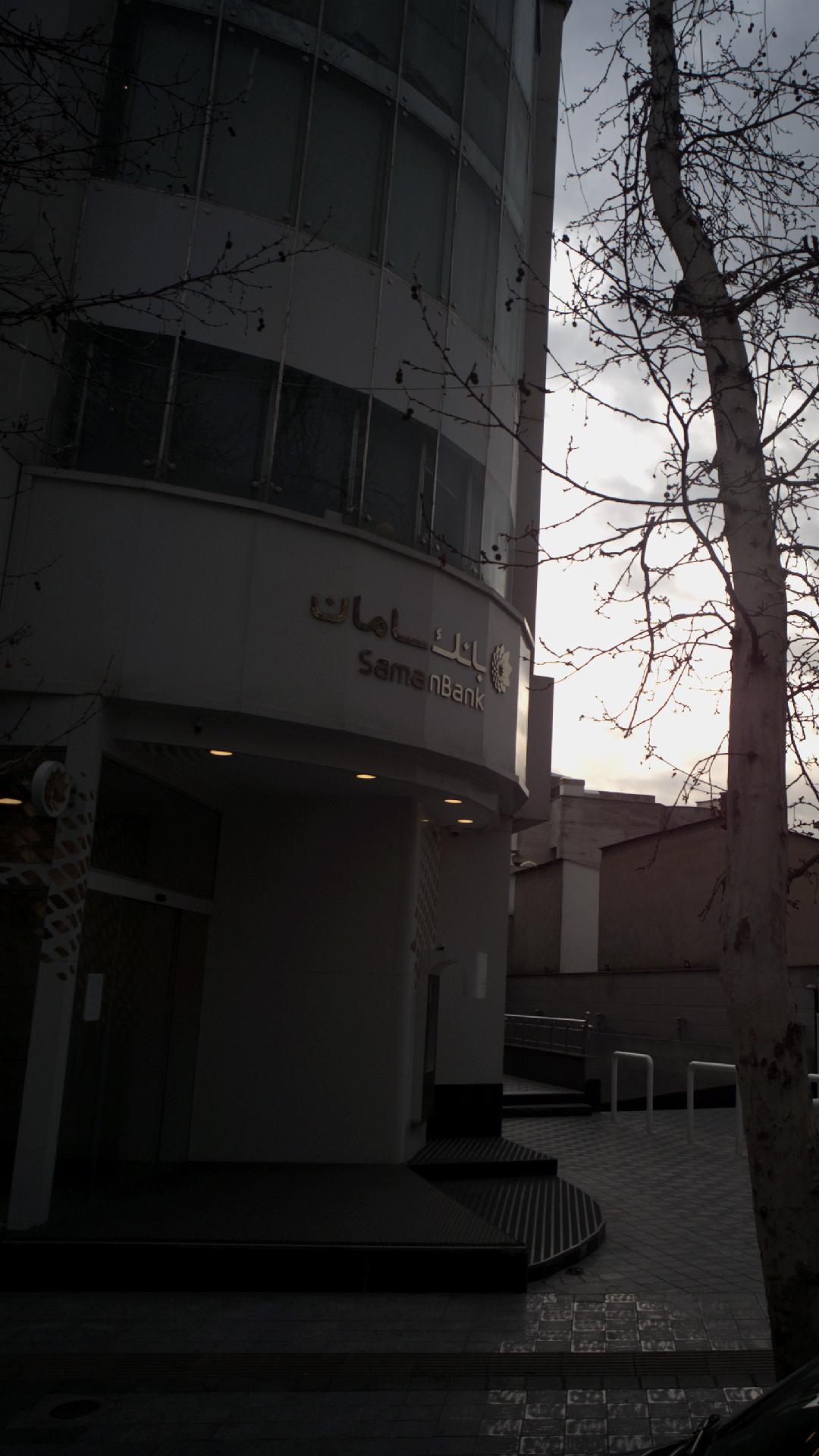 رستوران ماهی سفید