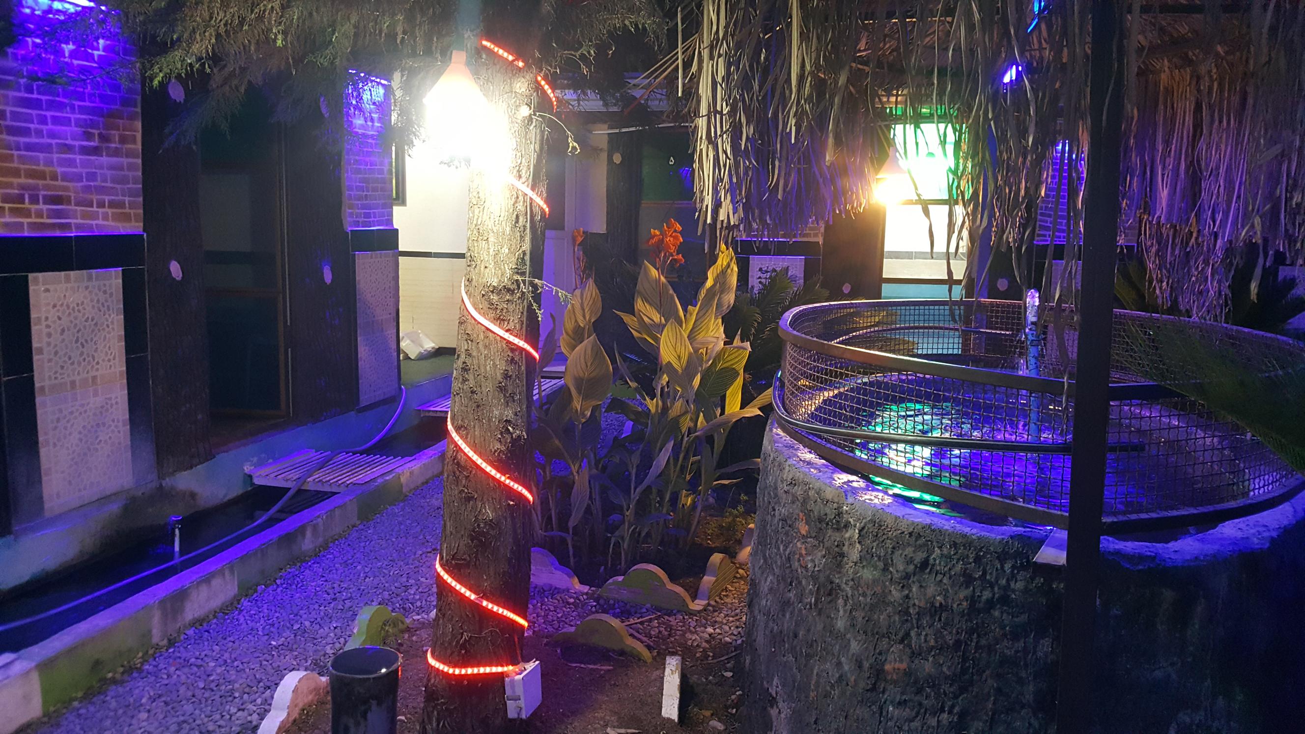 رستوران ماهی (کلبه ماهی)