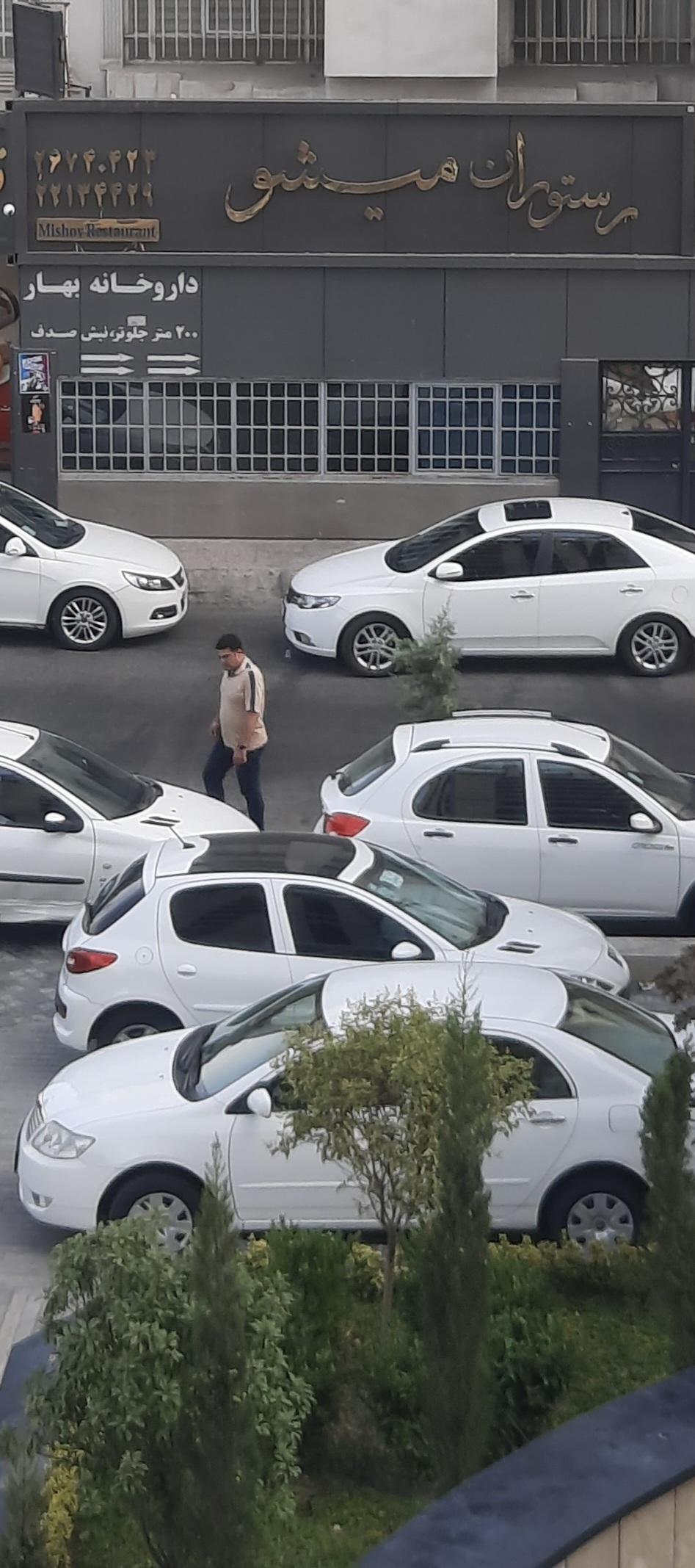 رستوران میشو