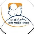 رها تهران