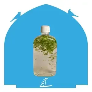 روحی اکسپرس جمهوری