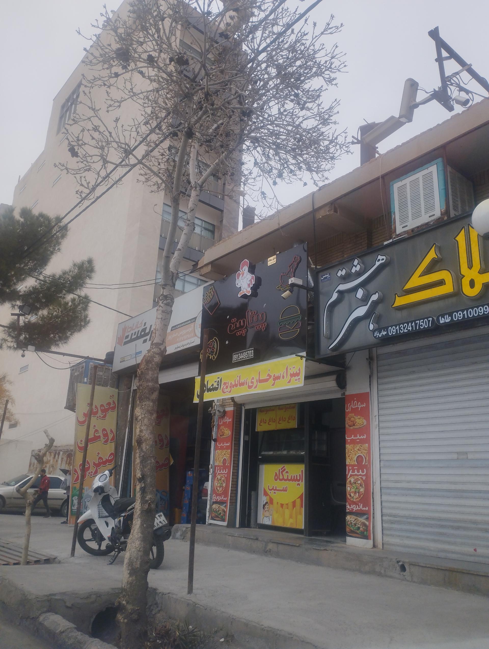 رویا برگر