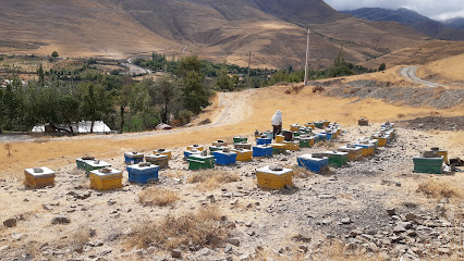 زنبورستان رحیم کشاورز